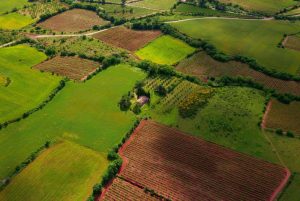 Find out how the legalization of rural land in the Balearic Islands works in 2025, as well as the requirements, deadlines, and costs for regularizing your property.