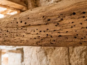 Damaged wooden beams — a guide by Construcciones Armalutx, Mallorca